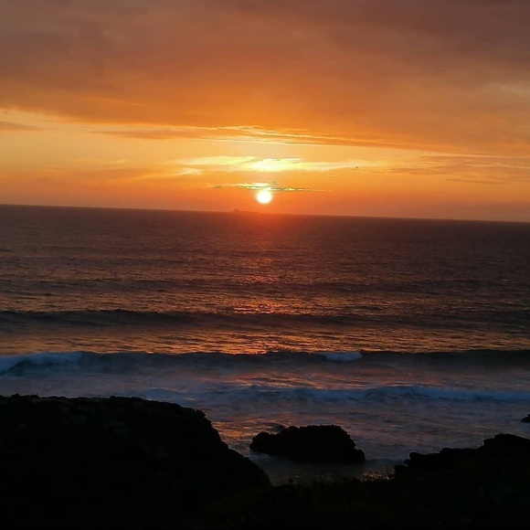 Meet your Posher, Paula - Picture 2 of 4